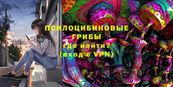 шишки Иннополис