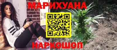 кокс Донской