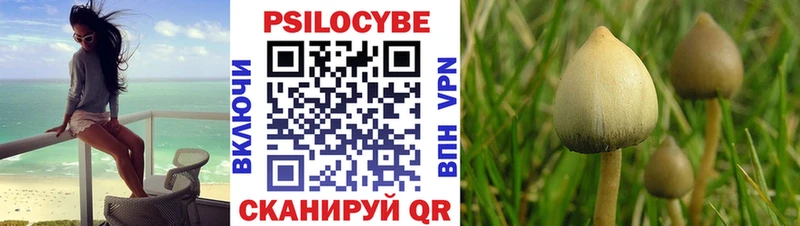 Псилоцибиновые грибы Cubensis  Кстово 