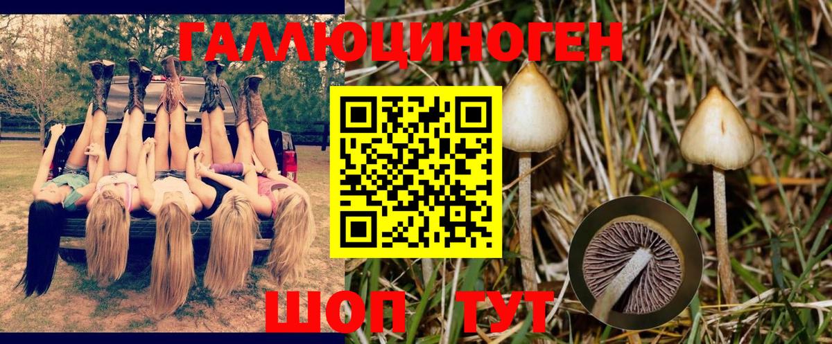 Кстово  Галлюциногенные грибы Cubensis  Вход с VPN 